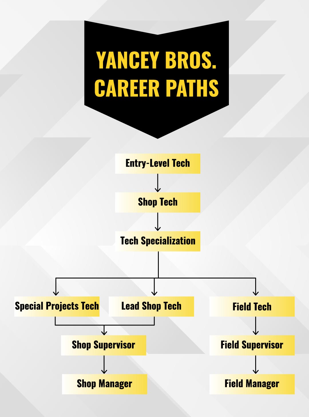 Career Paths Graphic